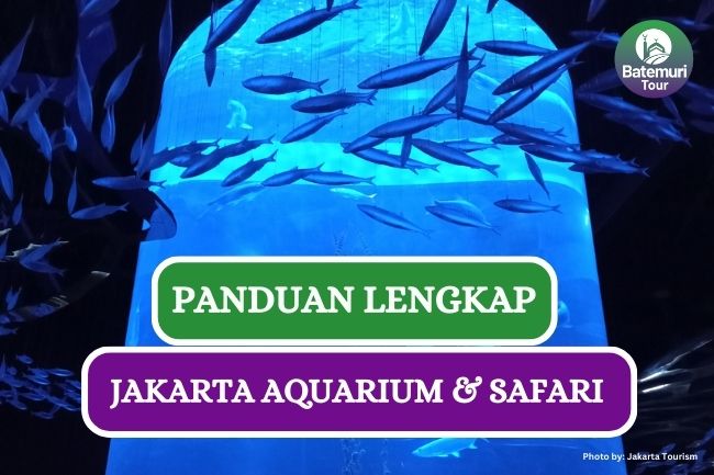 Panduan Lengkap Bermain ke Jakarta Aquariun & Safari